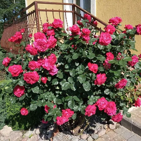 Anna * Pustkowo