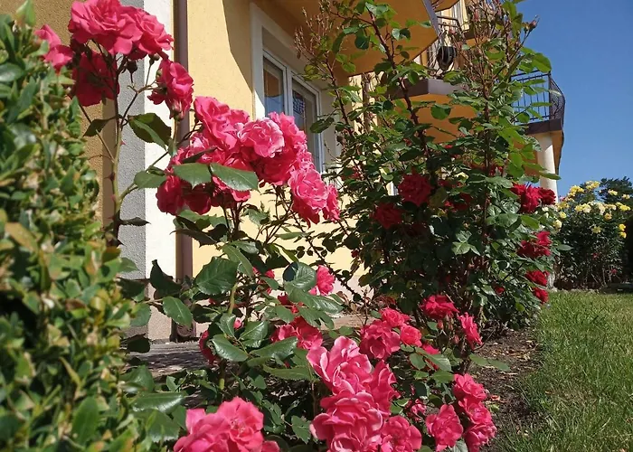 Anna Kwatera prywatna *